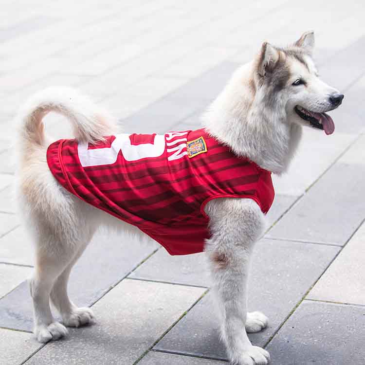 red dog clothes t shirt